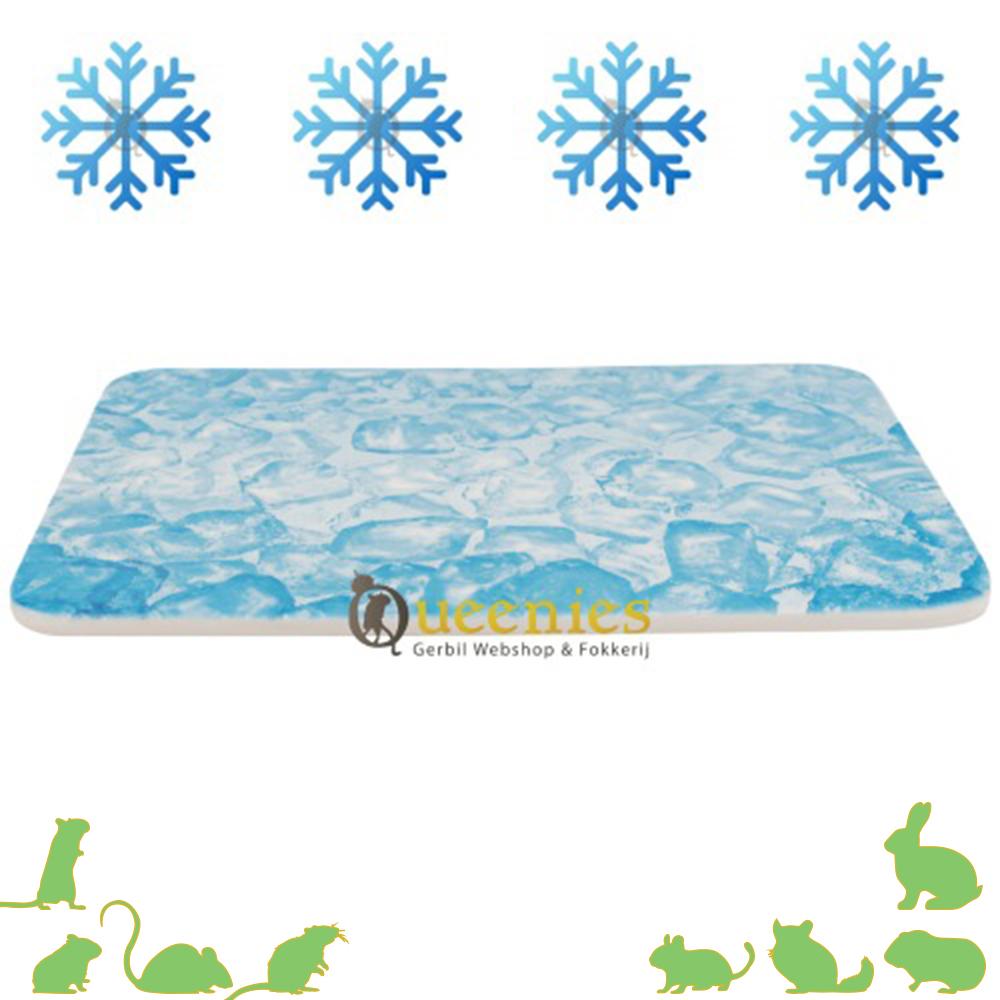 Verkoeling voor Knaagdieren en Dwergkonijnen