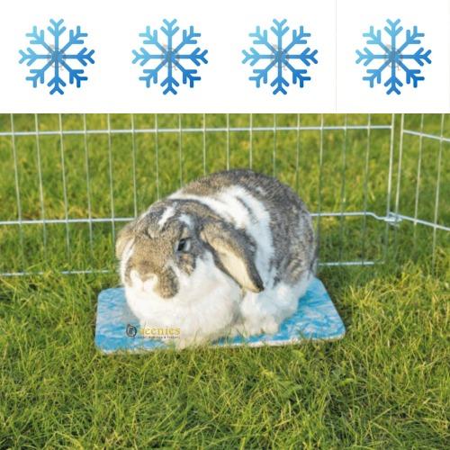 Koelplaat voor Chinchilla's en Ratten