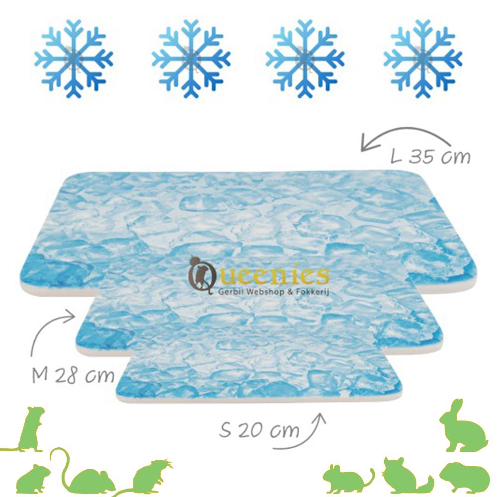 Koelplaat voor Knaagdieren en Dwergkonijnen