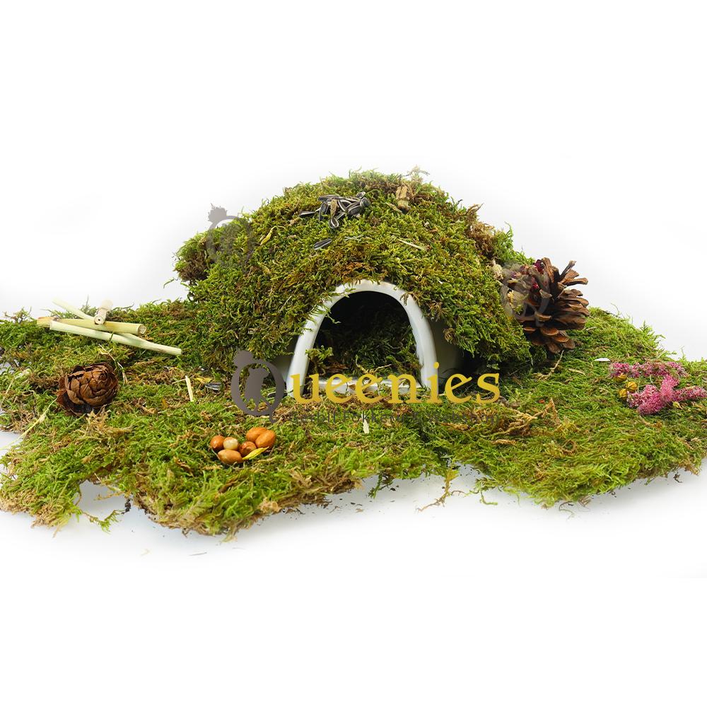 Koelplaat voor Dwerghamster