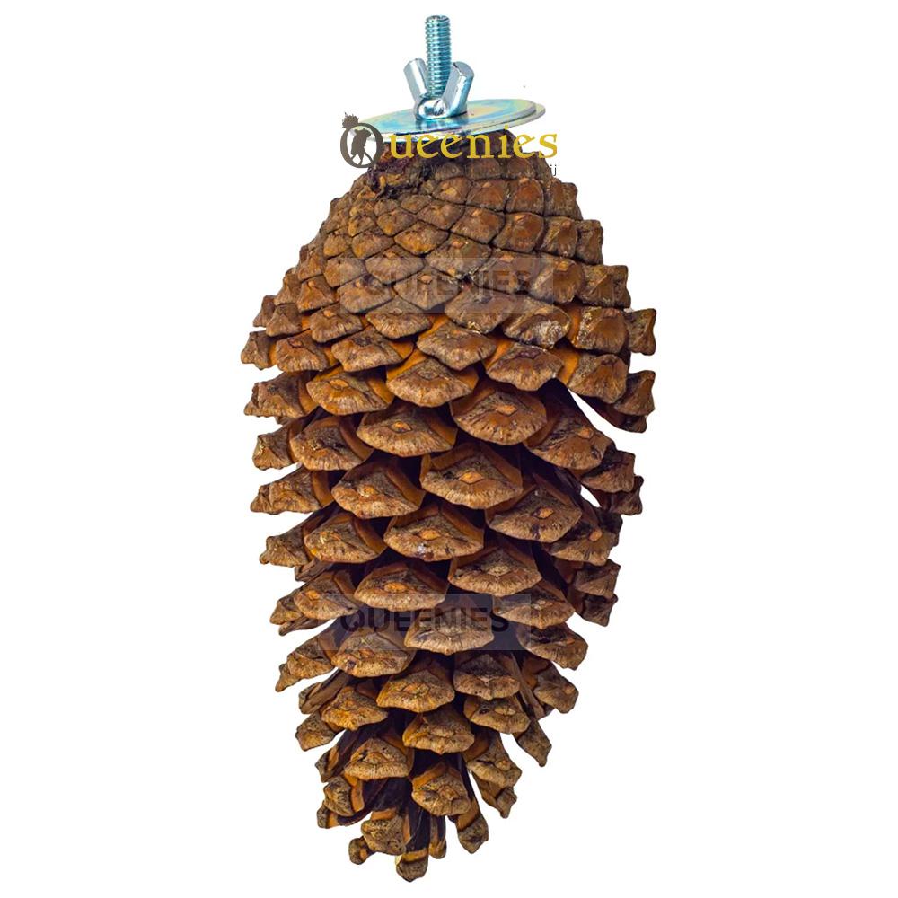 Foerageer Snack Dennenappel voor Hamsters