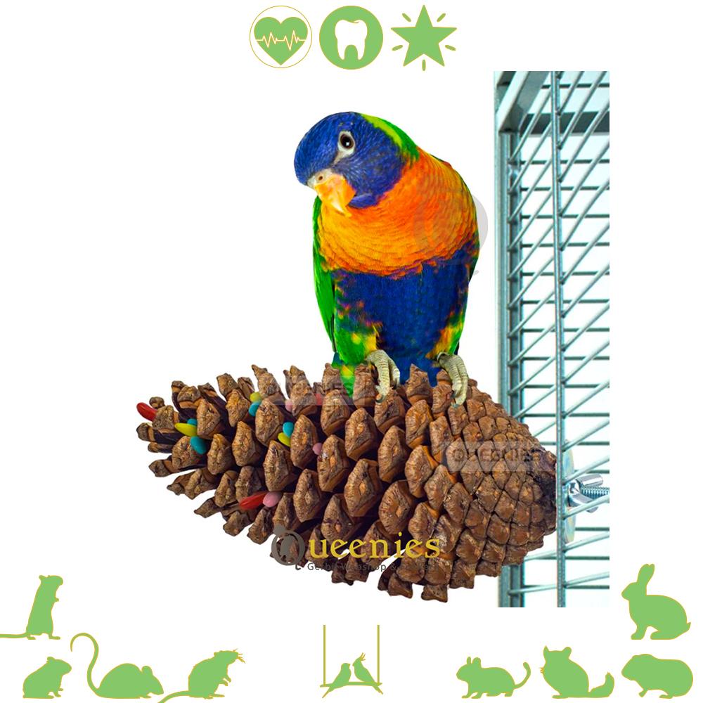 Traliekooi speelgoed van Dennenappels