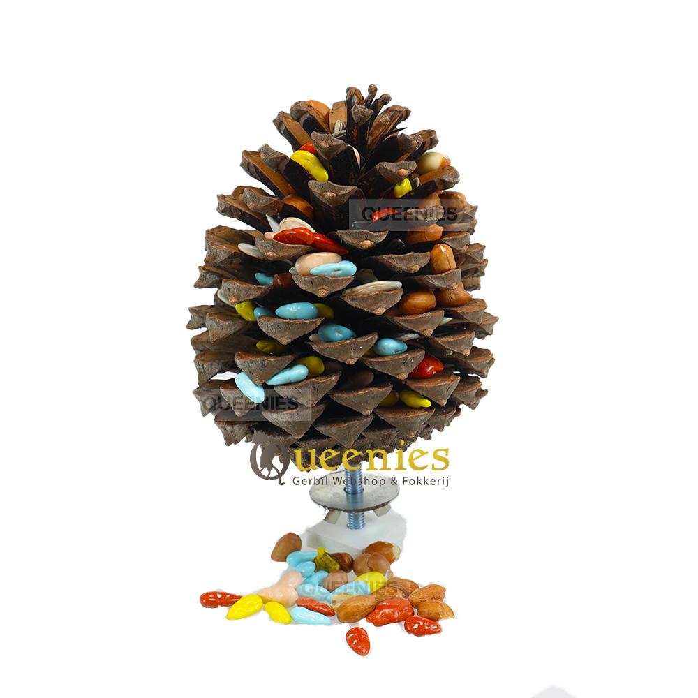 Knaagdieren speelgoed met Dennenappels