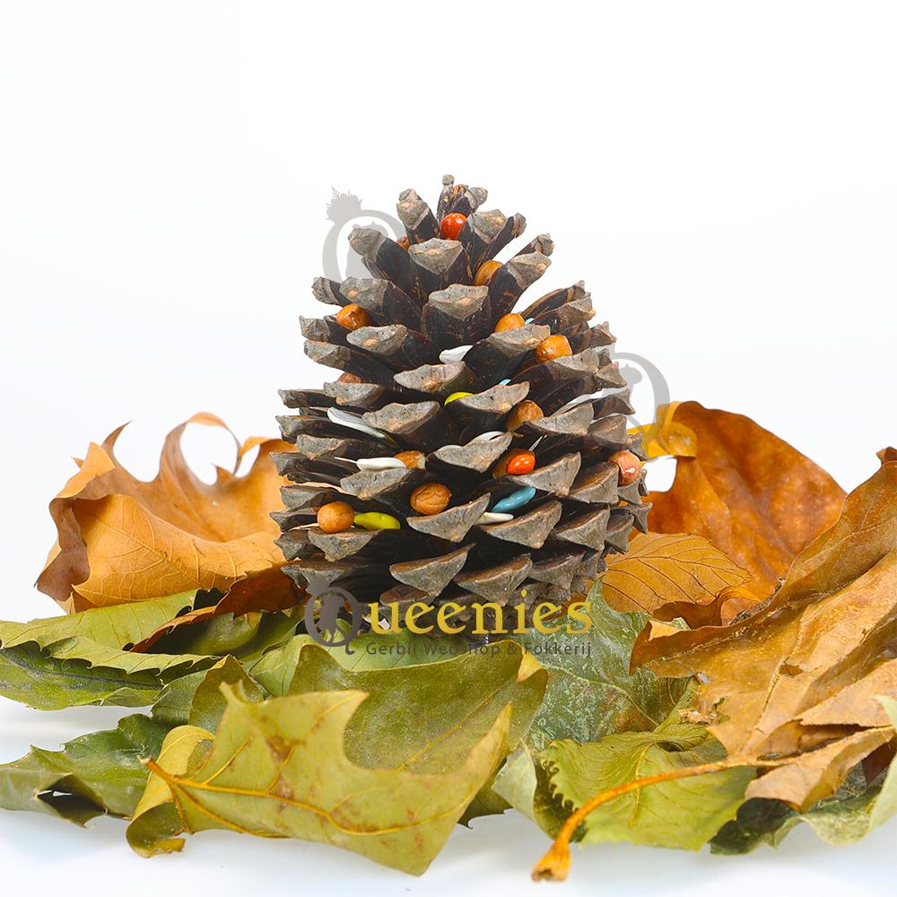 Vogelspeelgoed met Dennenappels