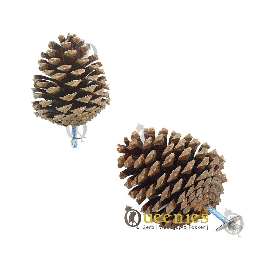 Hamsterscaping met Dennenappels in traliekooien