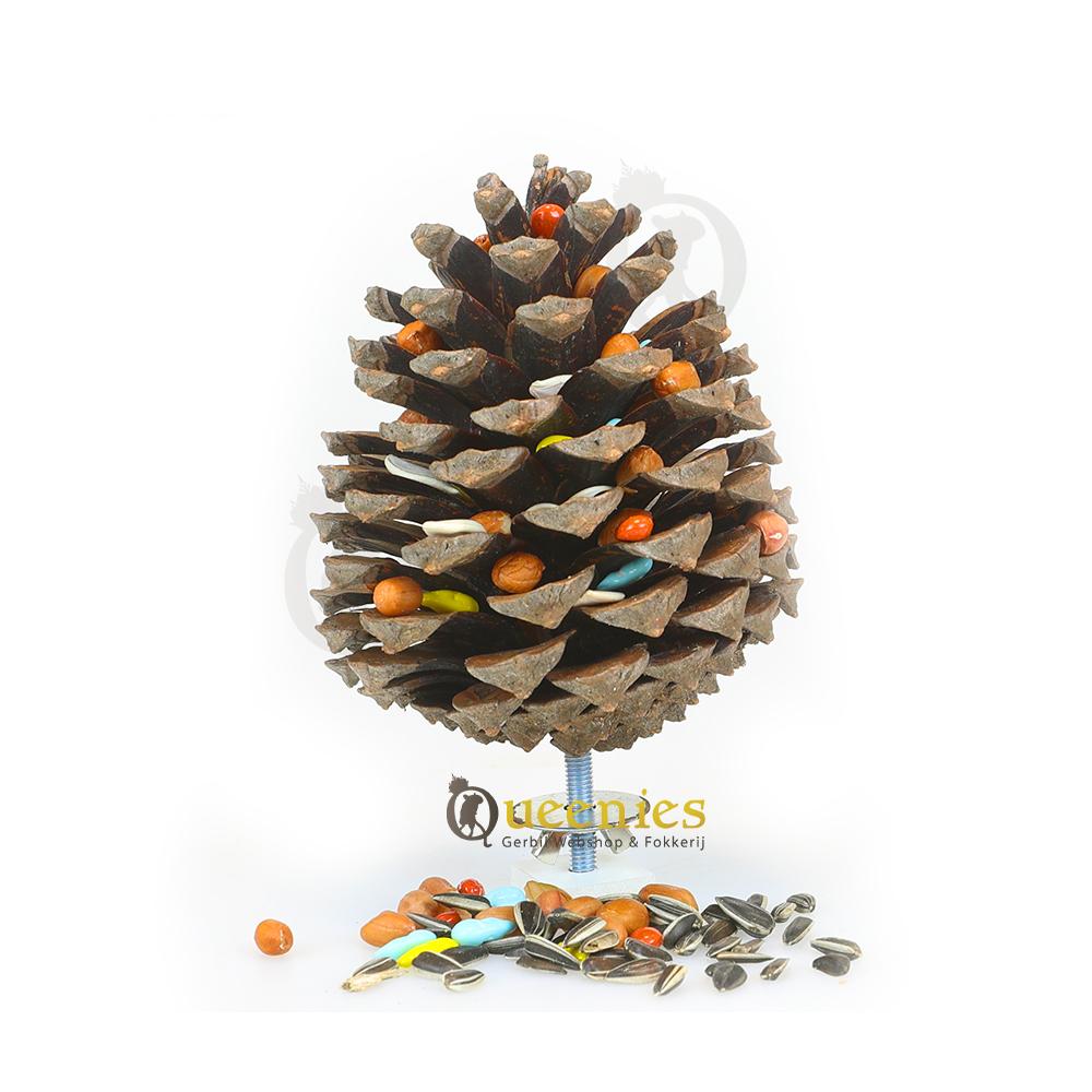 Dennenappels kopen voor Knaagdieren of vogels