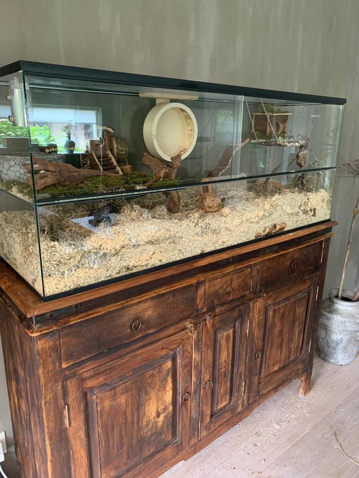 Gerbil hok 140x40x55