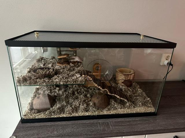Gebruikte Hamster Terrarium 80x40x50
