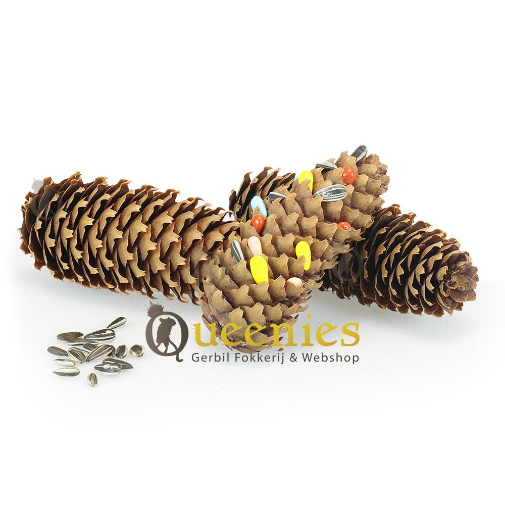 Lange Dennenappels 3 stuks