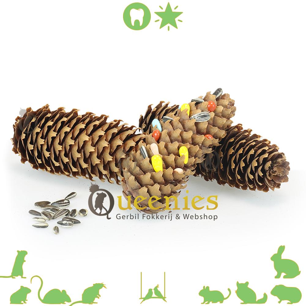 Dennenappel met zonnenbloem zaden