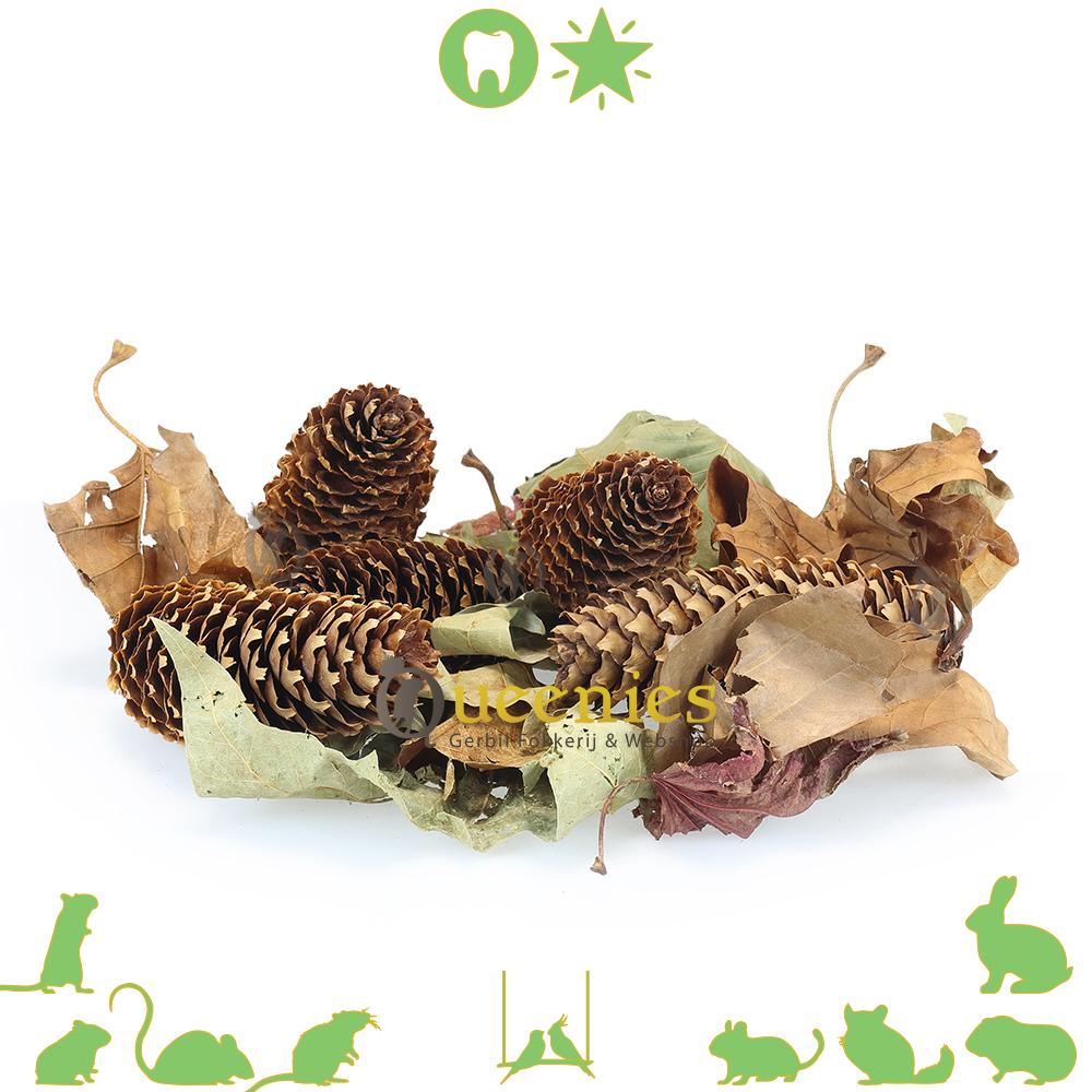 Bladerenmix met dennenappels