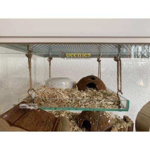 Magneet Haken voor knaagdierkooien  set per 5 stuks