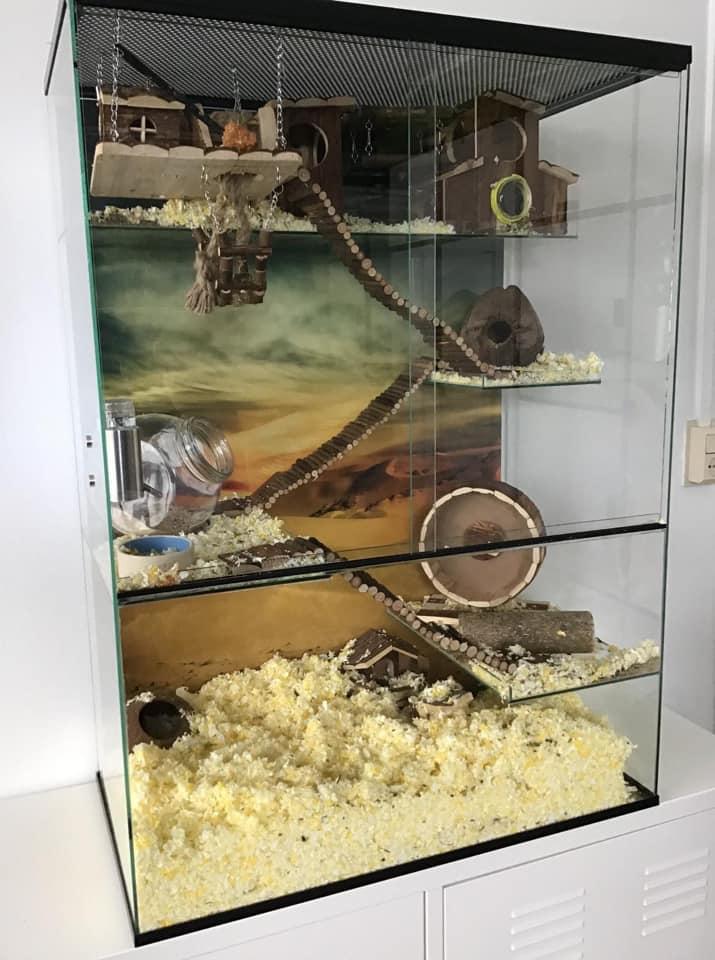 75x40x100 Gerbil / Degoe kooi van glas met schuifruiten