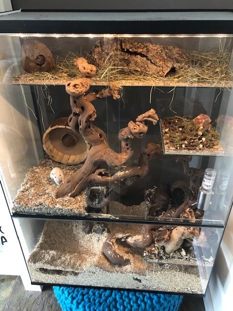 75x40x100 Gerbil / Degoe kooi van glas met schuifruiten