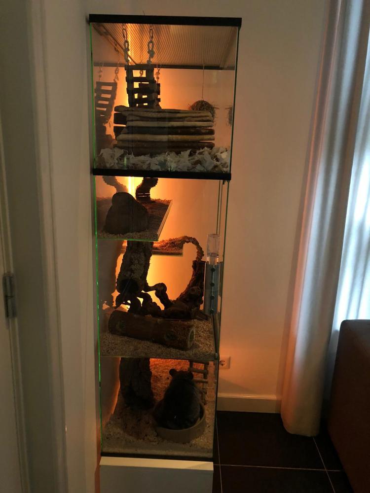 Opzetstuk met schuifruiten en plateaus