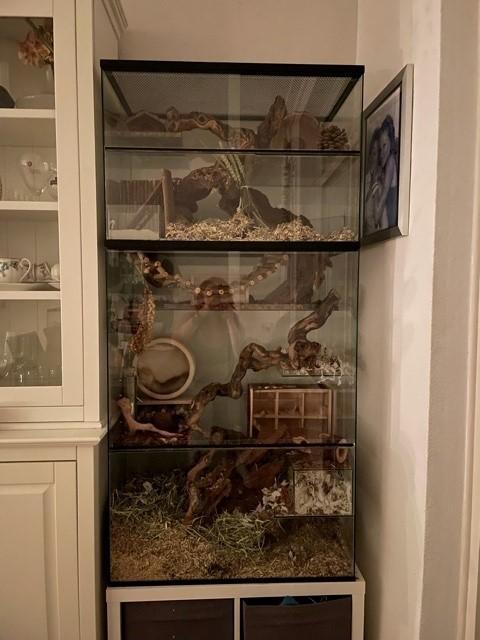 Opzetstuk met schuifruiten en plateaus