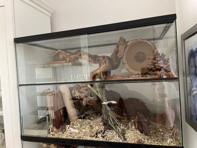 Opzetstuk met schuifruiten en plateaus