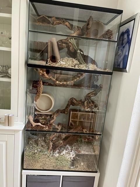 Opzetstuk met schuifruiten en plateaus