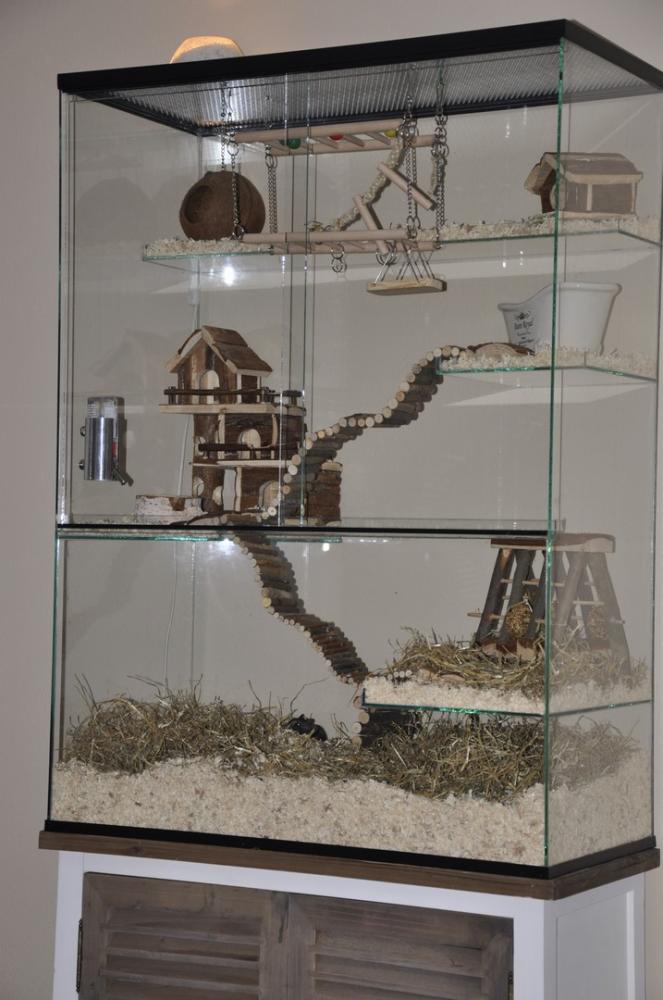 75x40x100 Gerbil / Degoe kooi van glas met schuifruiten