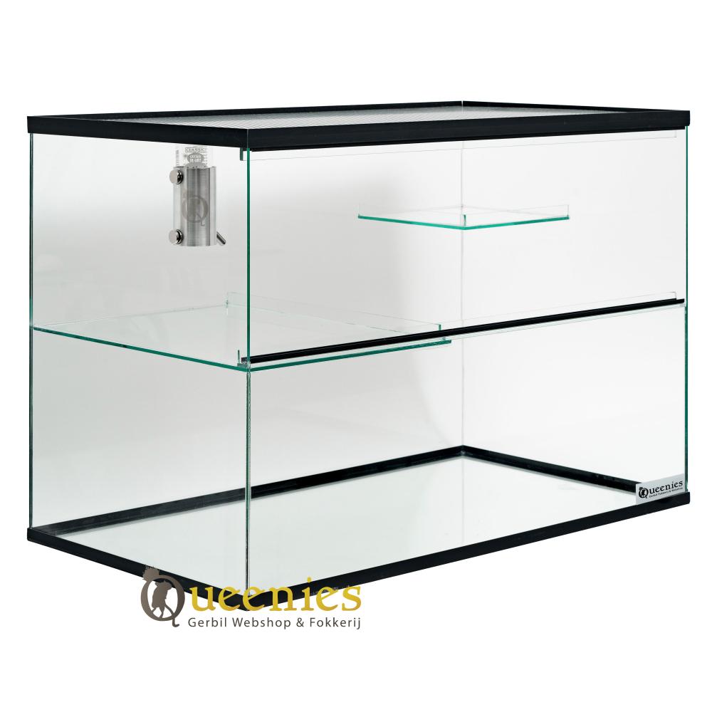 Gerbil terrarium 80x40x50