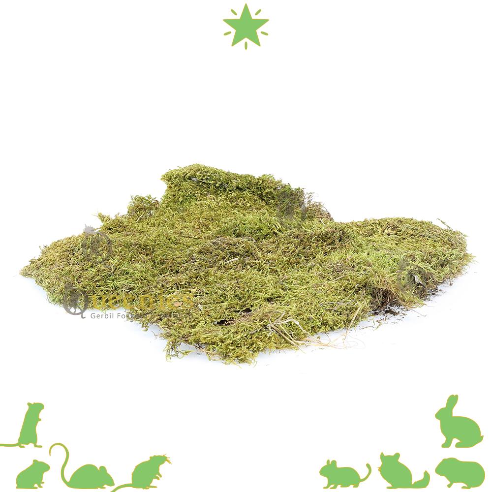 Gedroogd terrarium Mos 200 gram
