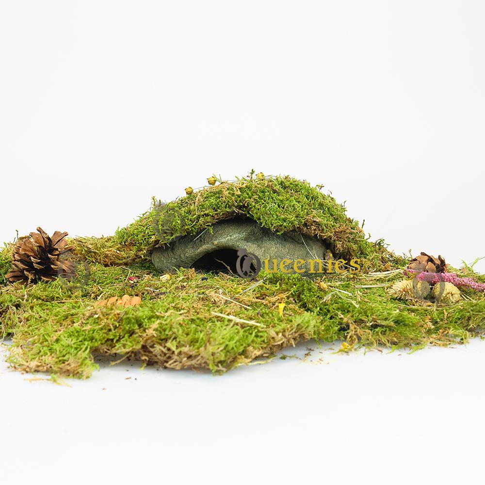 Hamsterscape huisje voor Dwerghamster