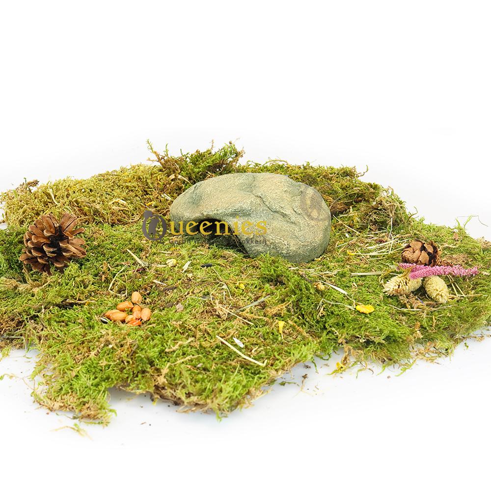 Knaagproef Gerbil huisje van Kunsthars