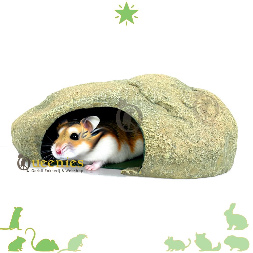 Hamsterscapingshuisje voor Dwerghamster