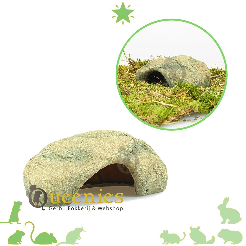 Steppe gerbil schuilplaats gerbilscaping