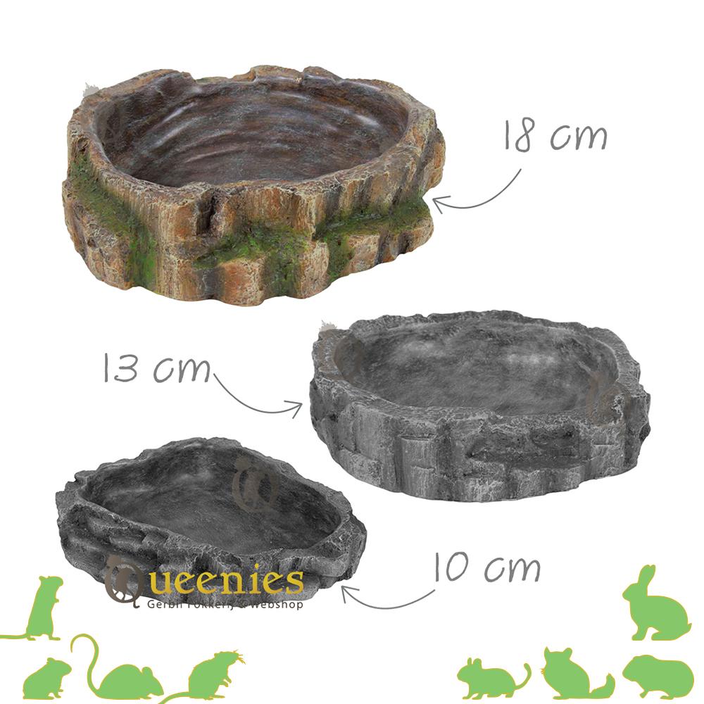 Voerschaal regenwoud 18 cm voor degoes
