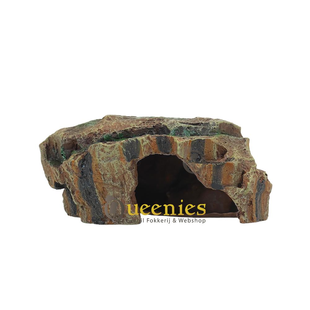 Regenwoud rotsen voor slangen