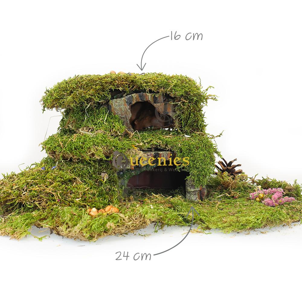 Grot voor knaagdieren en reptielen met gedroogd terrarium mos