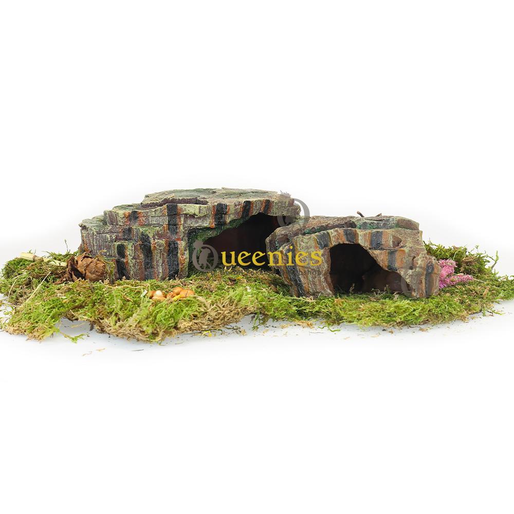 Reptielen regenwoud grot