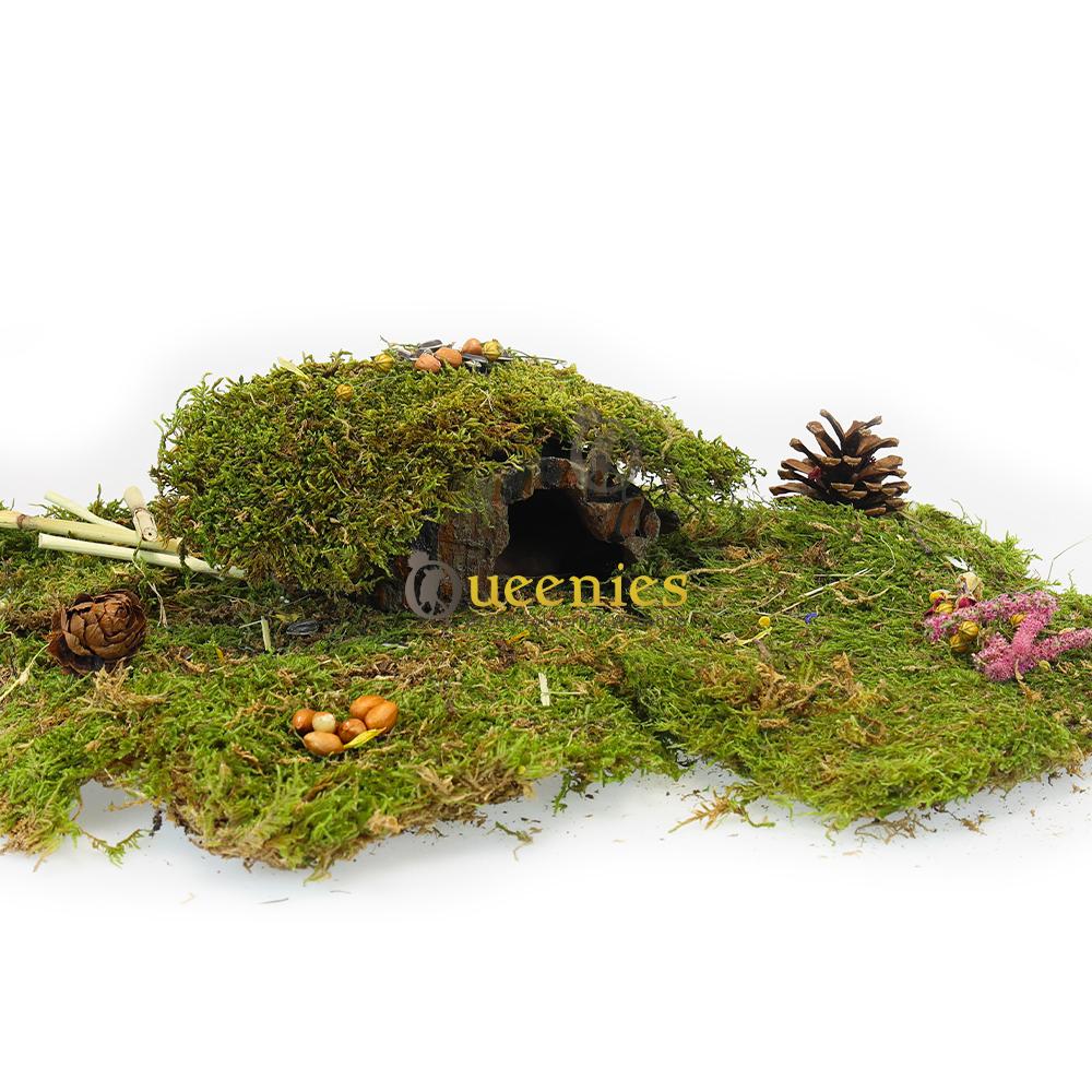 Natuurlijke knaagdieren huisjes voor muizen