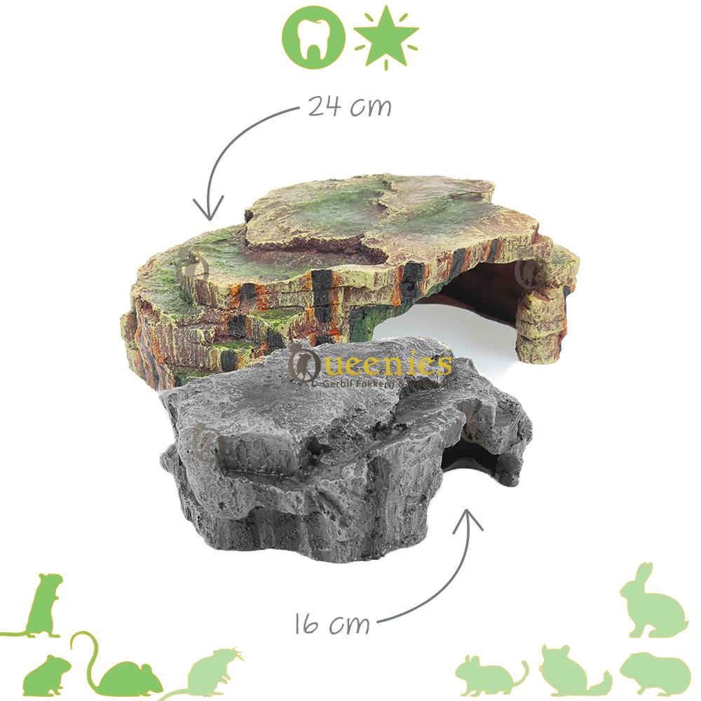 Regenwoud Schuilplaats 24 cm