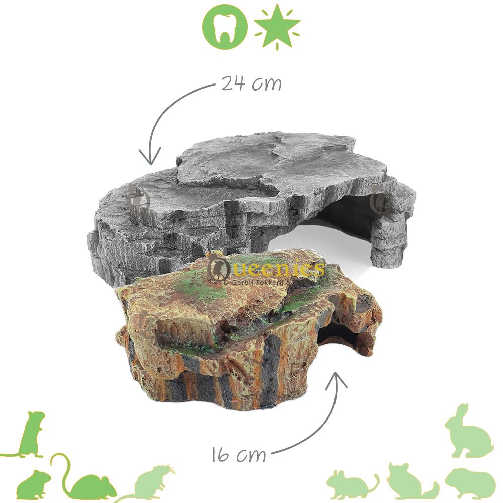 Regenwoud schuilplaats voor dwerghamsters