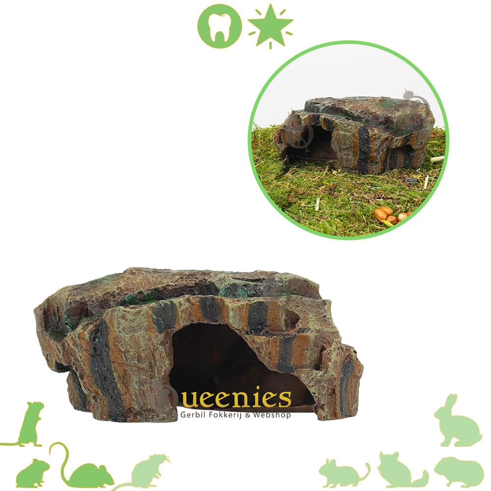 Regenwoud schuilplaats voor muizen