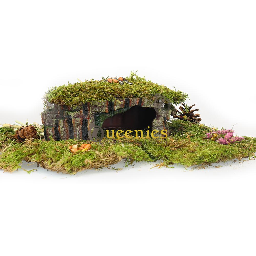 Reptielen schuilplaats ook geschikt voor knaagdieren