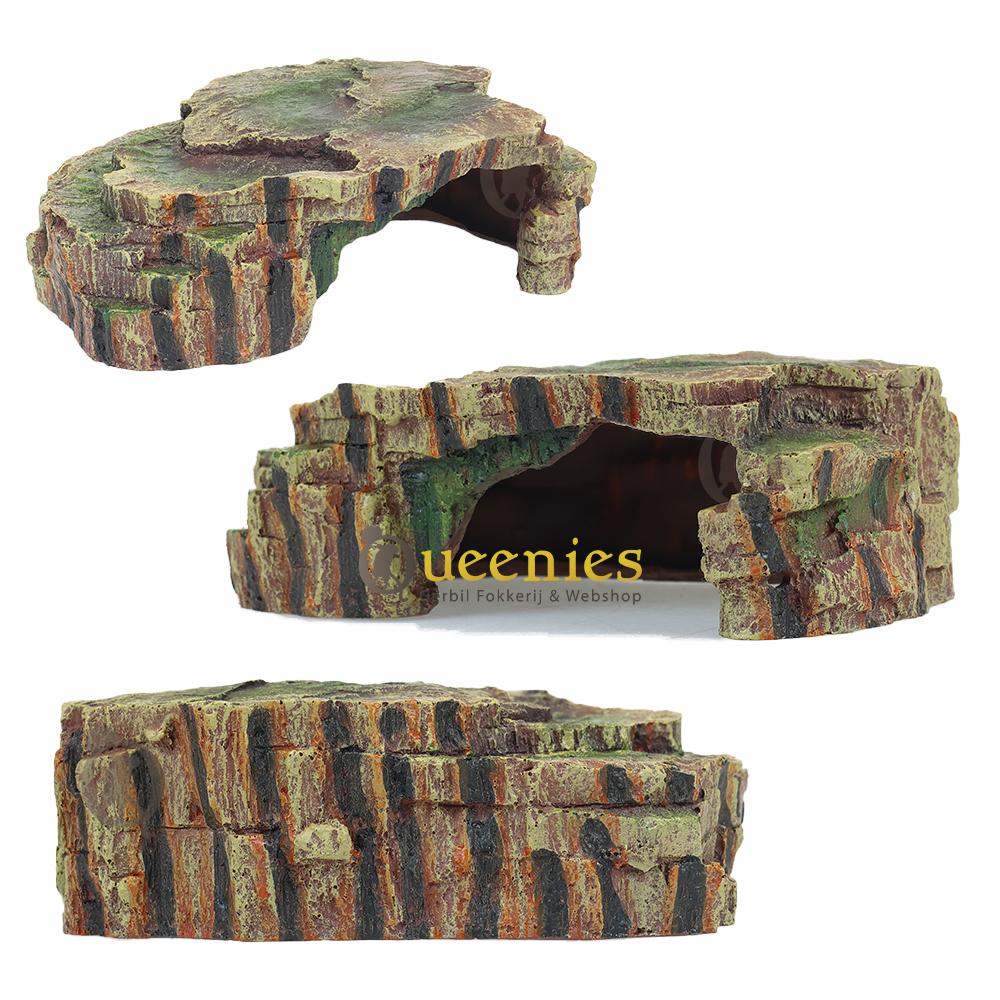 Reptielen regenwoud schuilplek