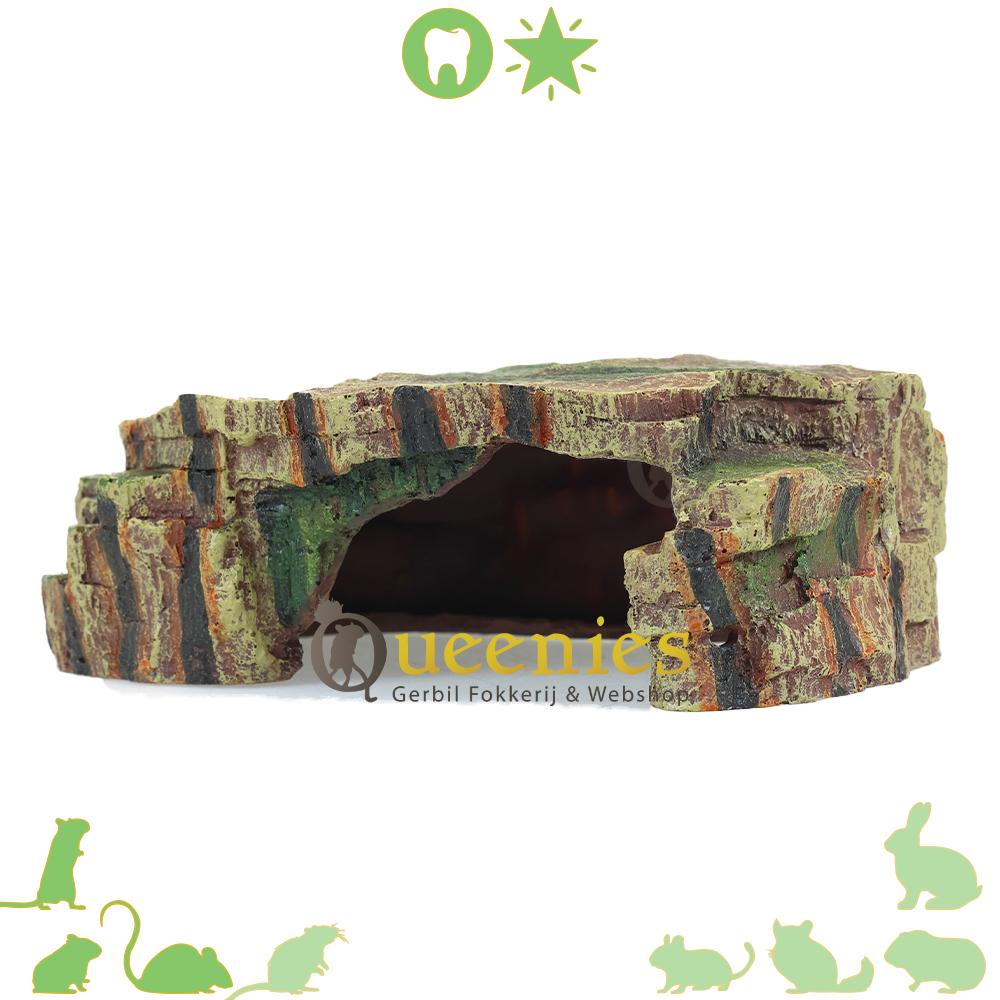 Regenwoud Schuilplaats voor knaagdieren