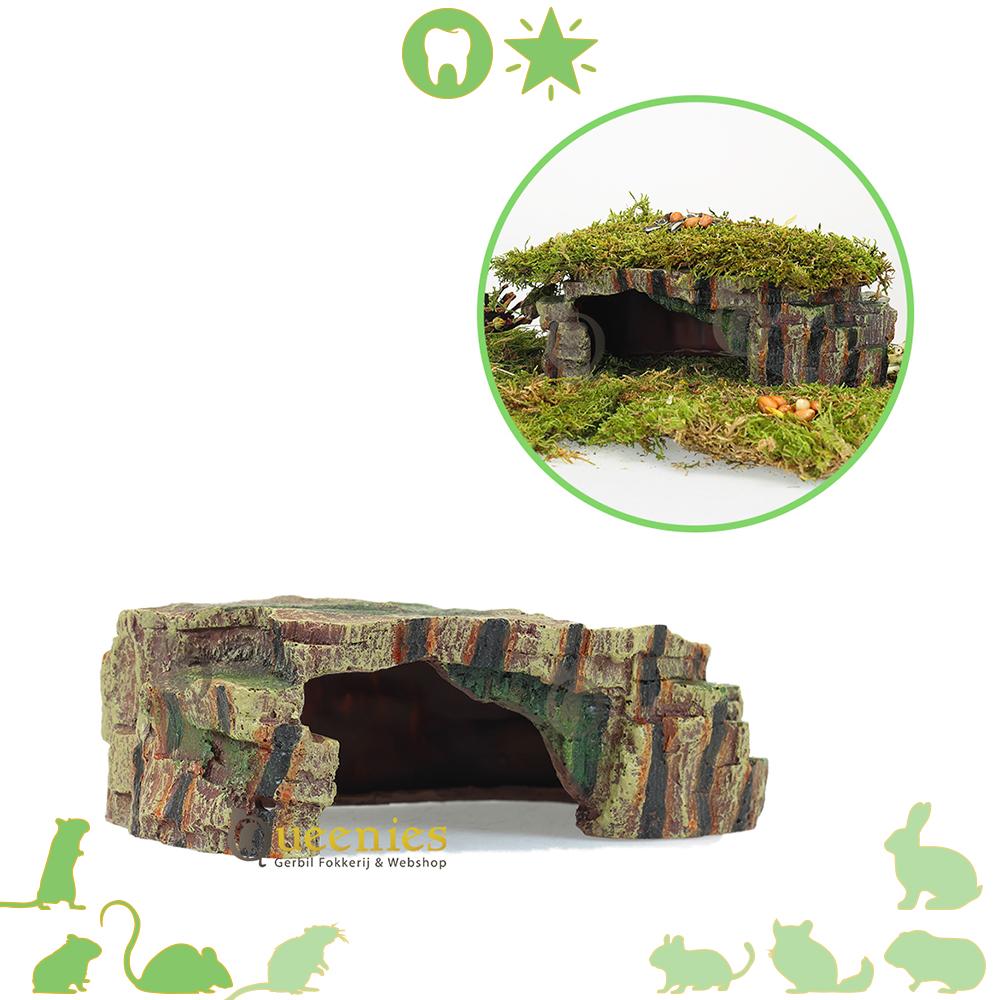 Hamsterscaping Regenwoud Schuilplaats goudhamster