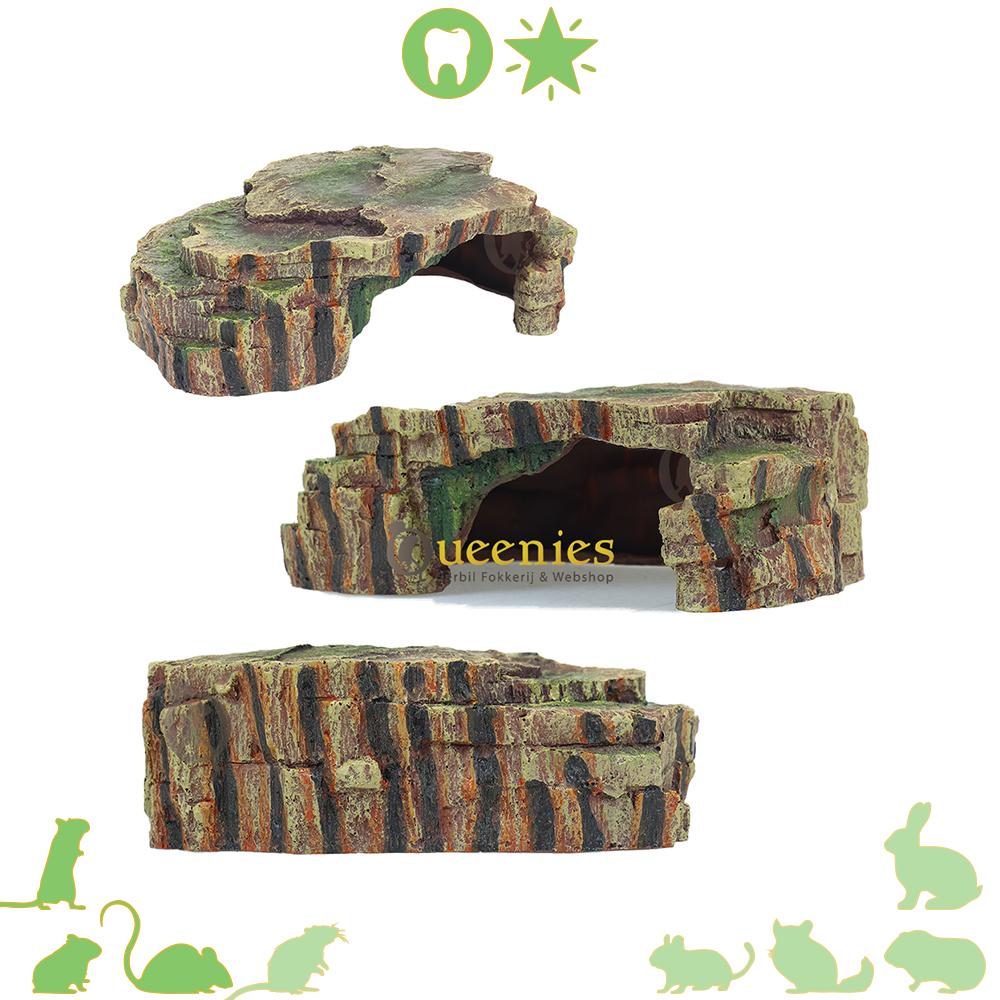 Dwerghamster in regenwoud schuilplaats hamsterscaping