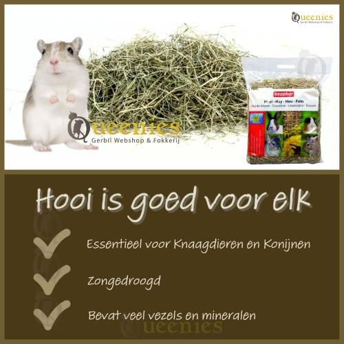 Hooi voor Knaagdieren en Cavia's