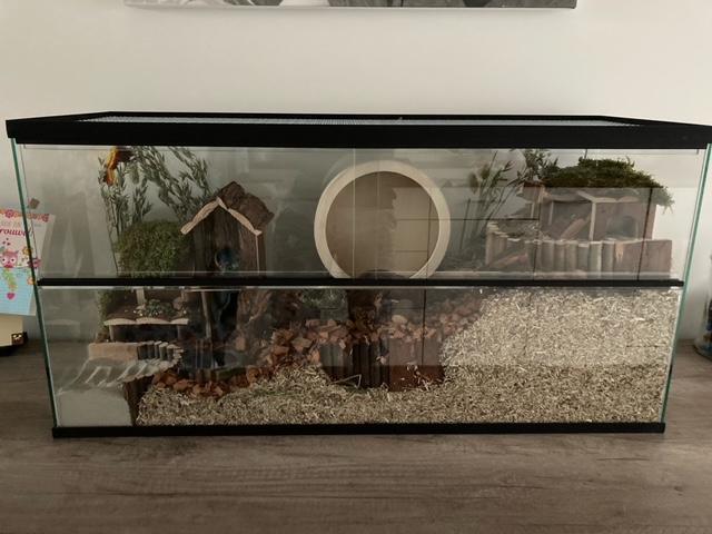 80x30x40 dwerghamster kooi met schuifruiten zonder plateaus