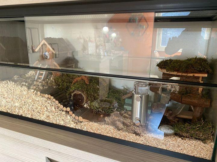 80x30x40 dwerghamster kooi met schuifruiten zonder plateaus