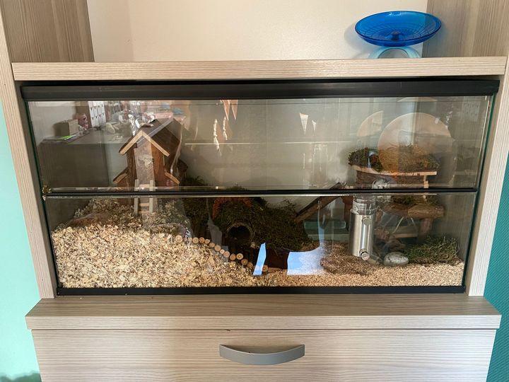 80x30x40 dwerghamster kooi met schuifruiten zonder plateaus