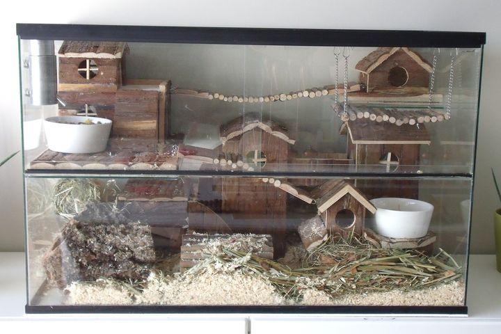 Gerbil terrarium 80x40x50