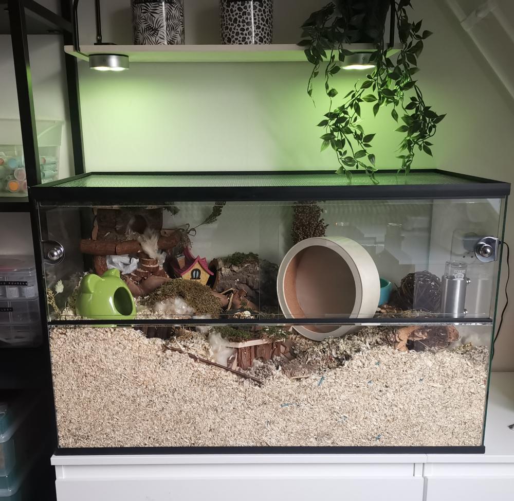Hamsterkooi terrarium met schuifruiten zonder tralies