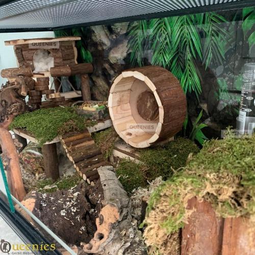 Houten renard voor Hamsters in Gerbilscaping