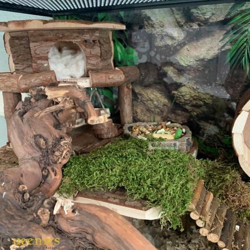 Hamster huisje Ida in hamsterscaping